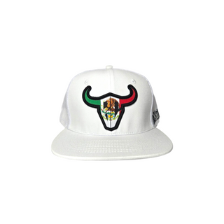BC Logo Mexico Flag