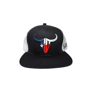 Texas Flag BC Logo