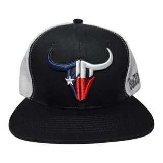 BC Logo Texas Flag