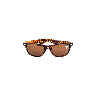 CalaVera Brown Marble