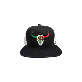 BC Mexico Flag