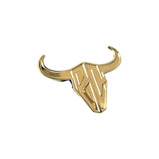 Gold BC hat Pin