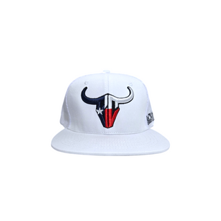 Texas Flag BC Logo