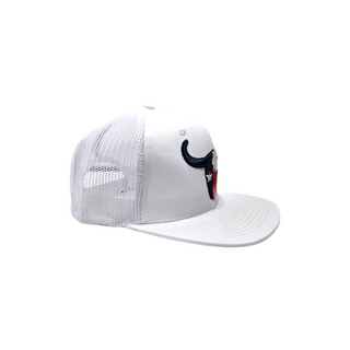 Texas Flag BC Logo